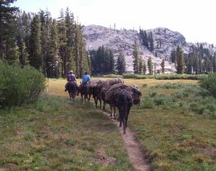 pack7.jpg